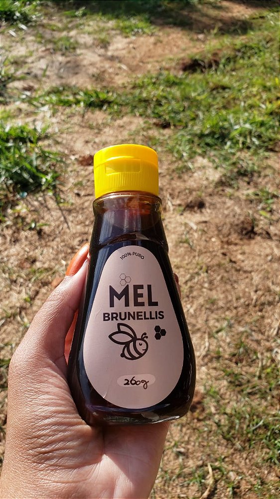 Mel com EXTRATO DE GENGIBRE - 260g