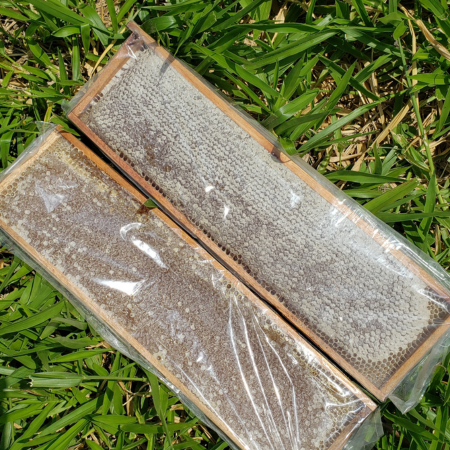 Favo de mel Grande NA MADEIRA- para suporte de favos