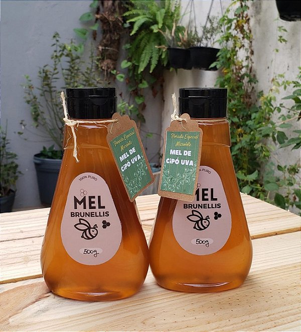 Mel Bisnaga 500g - CIPÓ UVA