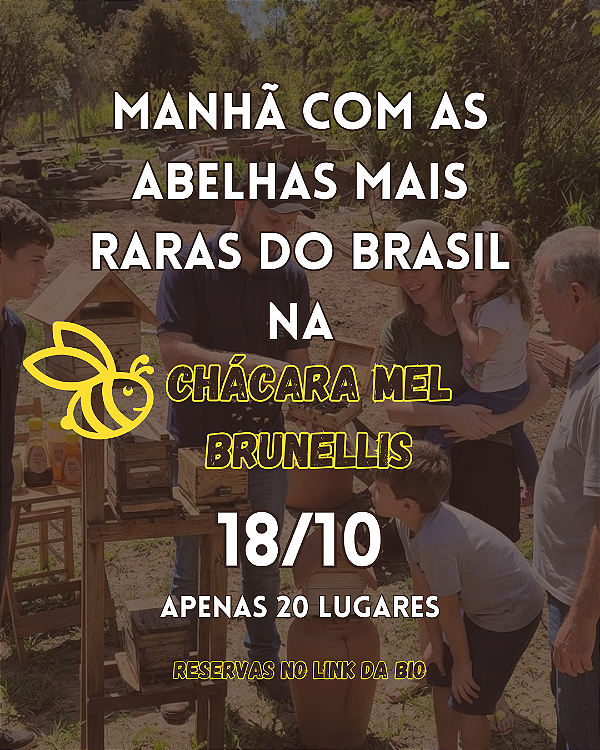 18/10/26-Experiência no Meliponário MEL BRUNELLIS – Visita Guiada