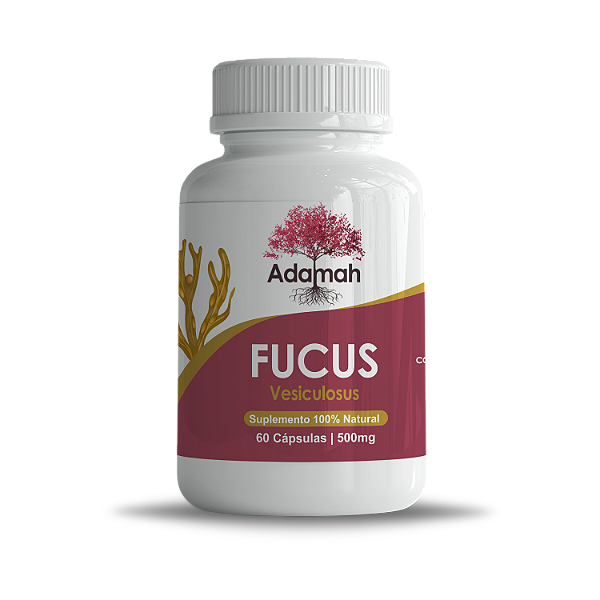 Fucus Vesiculosus 500mg Em Cápsulas 100% Natural