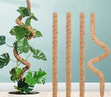 Estaca de Apoio para Plantas - Suporte de Coco Natural