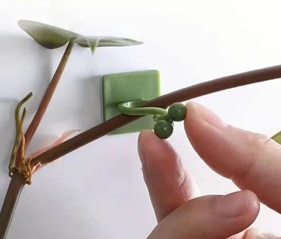 Grampos de Fixação para Plantas – Suporte Verde para Jardinagem