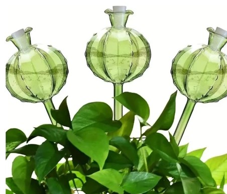 Globos de Irrigação Automática