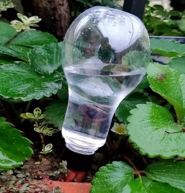 Globo de Rega Automático