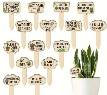 Plaquinhas de Madeira para Plantas