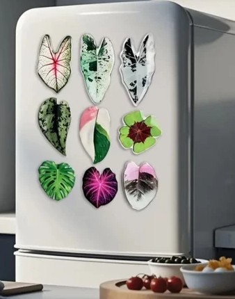 Ímãs de Geladeira - Design de Folha