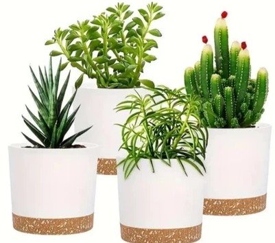 Vaso Autoirrigação