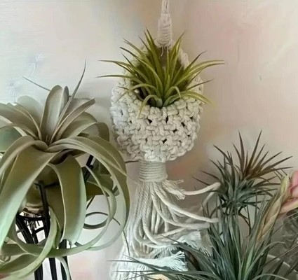 Suporte Para Planta Estilo Ninho Macramé