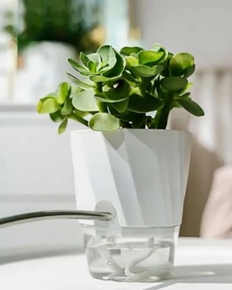 Vaso Design Floral Texturizado