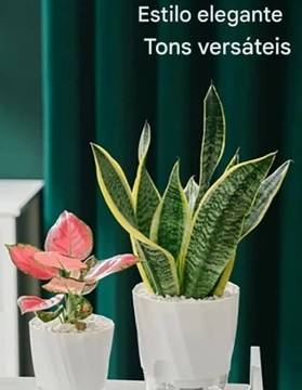 Vaso Com Sistema de Auto irrigação - Design Floral