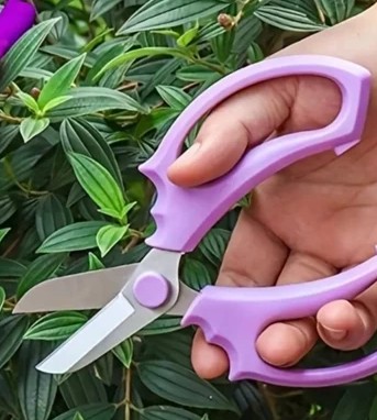 Tesoura de Corte de Flores - Profissional, Ergonômica em Aço Inoxidável