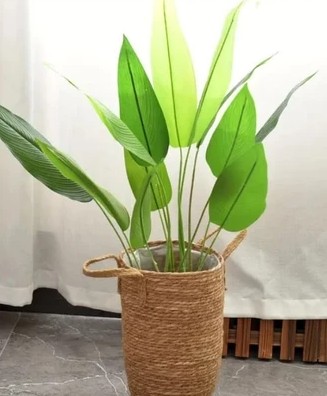 Cesta de Rattan - Vaso Alto Ideal para Organizador de Plantas