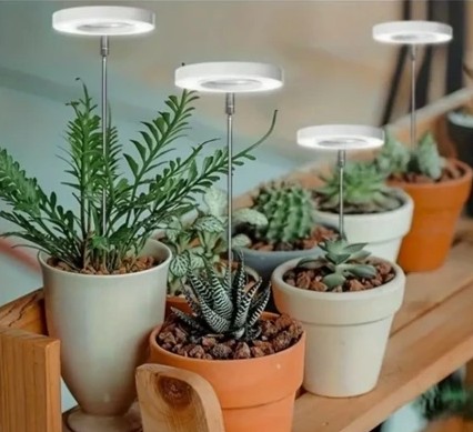 Luzes de Crescimento para Plantas Internas