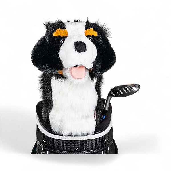 Daphne's Headcover Bernese Tacos De Golfe