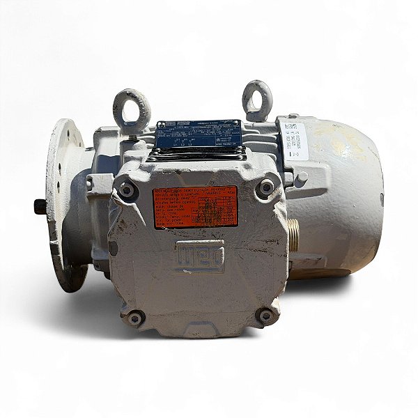 Motor Elétrico Trifásico 4P 480V 1/3CV EX W22XdB - WEG