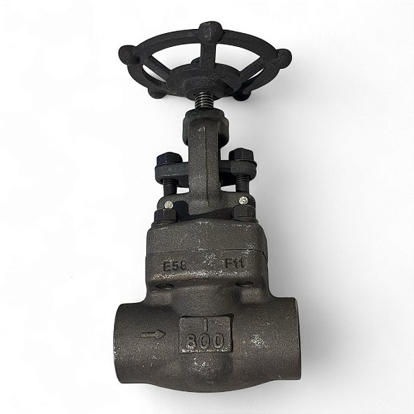 Corpo Válvula Globo CL 800 Aço SLC - LW210304402-6