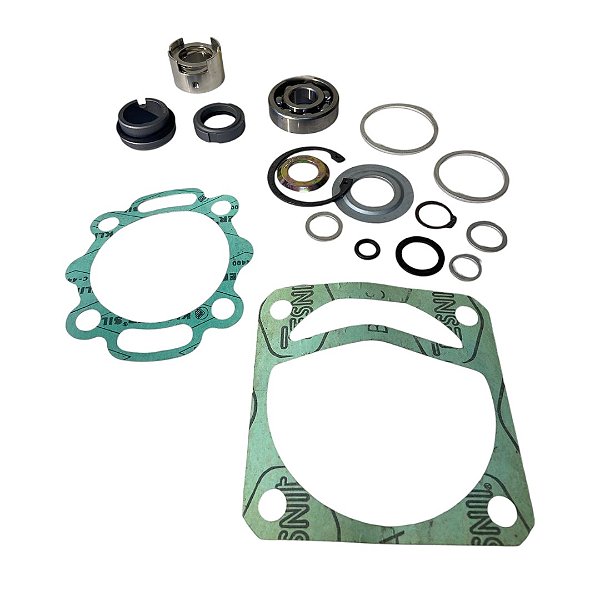 KIT RETENTOR E ROLAMENTO DE JUNTAS DE BOMBA 174094 WARTSILA