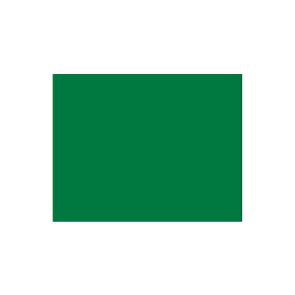 PLACA EVA GRANDE LISO VERDE (40CMX60CM) - LEOARTE