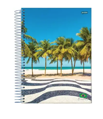 CADERNO ESPIRAL CAPA FLEXIVEL 1/4 COM 96 FOLHAS BRASILIDADE - JANDAIA