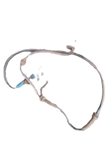 SENSOR ABS DIANTEIRA DIREITA | C3 XTR FLX 2008