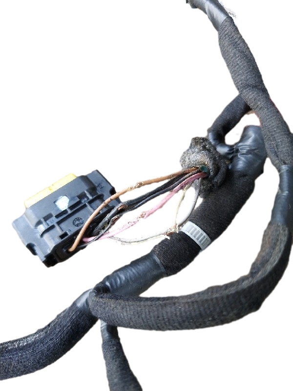 CHICOTE PORTA DIANTEIRA DIREITA | CERATO SX 1.6 16V 2018