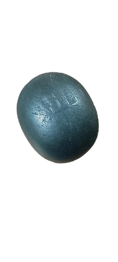 MANOPLA CÂMBIO | SCENIC RXE 2.0 2001