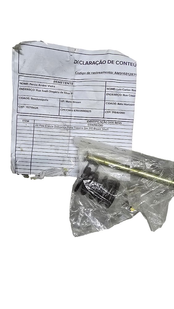 KIT PINO E MOLA DOBRADIÇA PORTA TRASEIRA GM S10 BLAZER 96A11 | LOTE PEÇAS AUTOMOTIVAS 2026