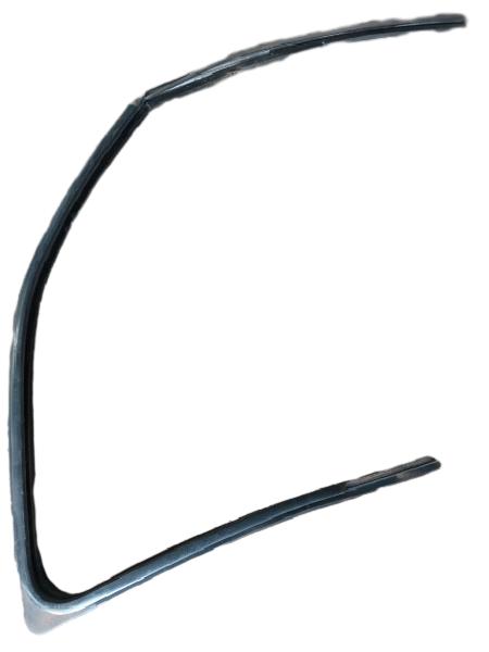 BORRACHA CANALETA PORTA DIANTEIRA DIREITA | CLIO SED. EXP. 1.0 16V 2005