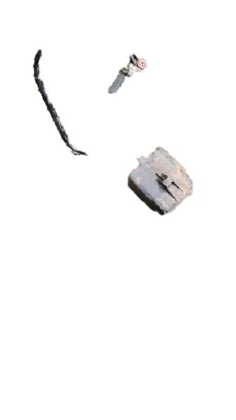 CANISTER | SANTANA 2.0 1993