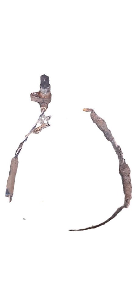 SENSOR ABS TRASEIRO DIREITO | SCENIC RXE 2.0 2001