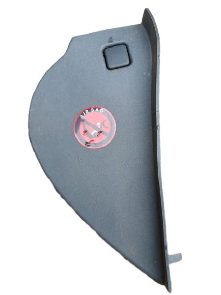 TAMPA ACABAMENTO DIREITO PAINEL | C3 XTR FLX 2008