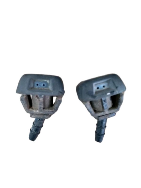 BRUCUTU | PALIO YOUNG 2001