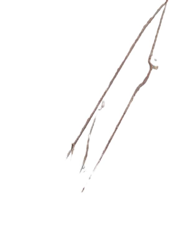 KIT VARÃO ABERTURA PORTA DIREITA | MONZA SL 1993