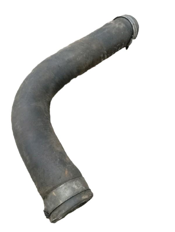 MANGUEIRA | PREMIO S 1986