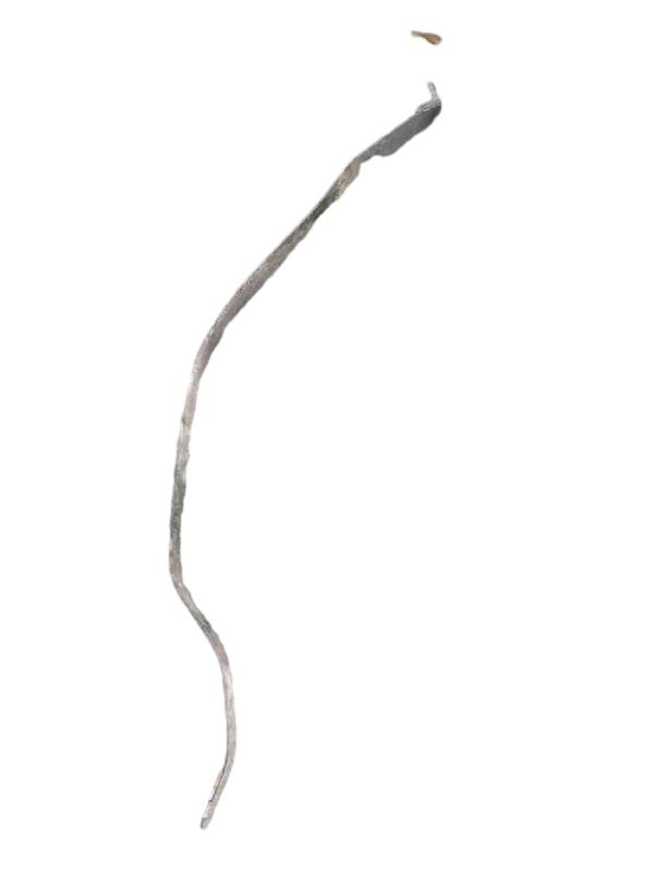 CINTA TANQUE | VERONA LX 1990