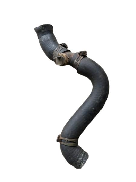 MANGUEIRA RADIADOR | TEMPRA IE 1995