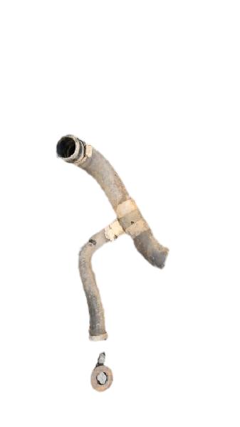 MANGUEIRA | PALIO EL 1996