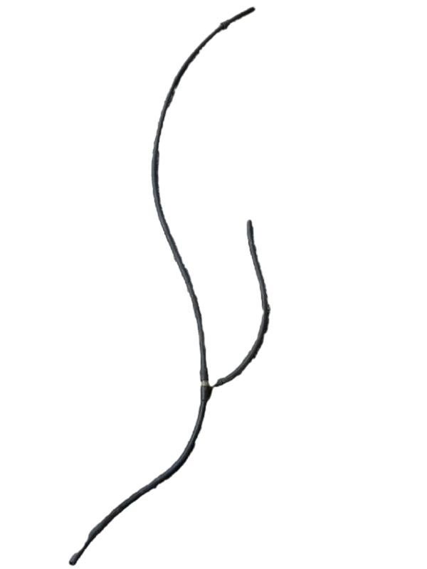 MANGUEIRA BRUCUTU | CORSA WIND 1995