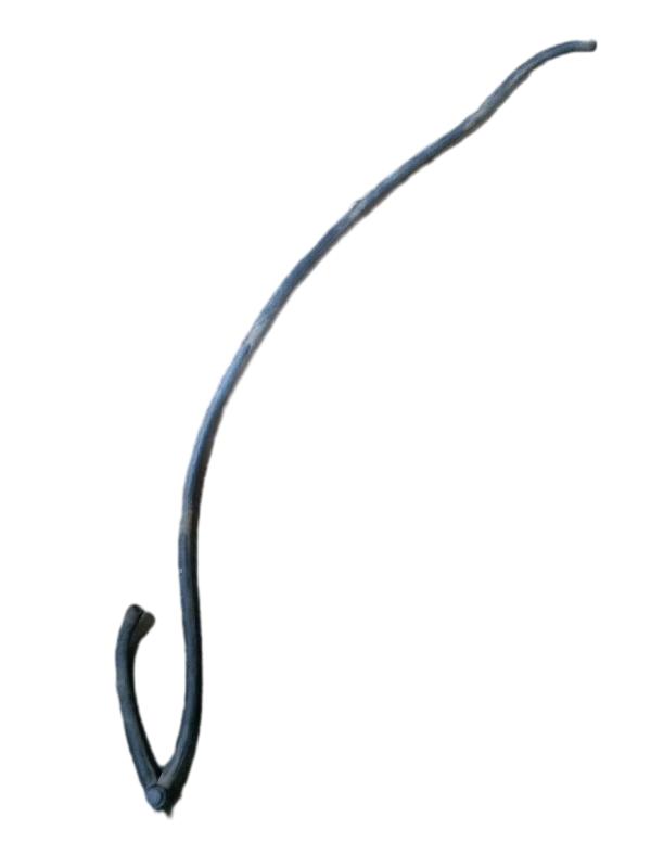 MANGUEIRA BRUCUTU | PALIO YOUNG 2001