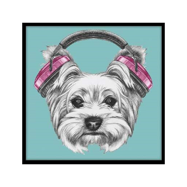 Quadro Barcelona Headphone Dog Azul 30x30cm