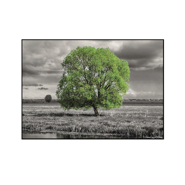 Quadro Decorativo Barcelona Árvore 70x100cm