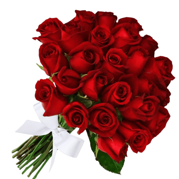 Buquê com 24 Rosas Vermelhas
