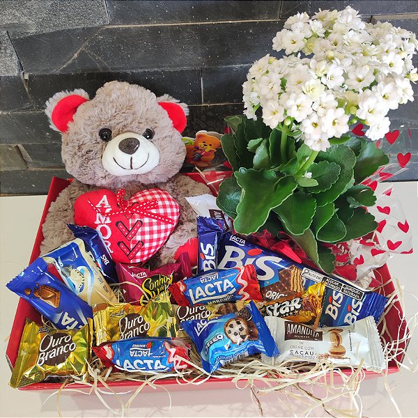 Kit Presente com Ursinho, Kalanchoe e Bombons – Cesta Amorosa