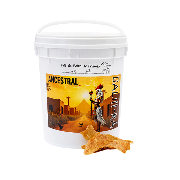 Balde de Filé de Peito de Frango