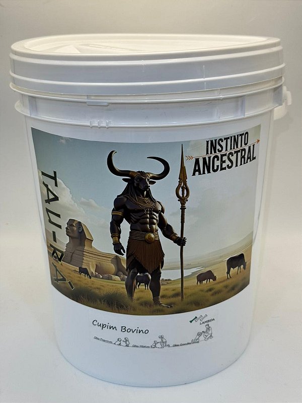 Balde de File de Cupim