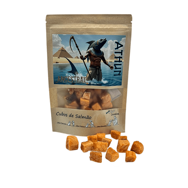 Cubo de Salmão - Liofilizado