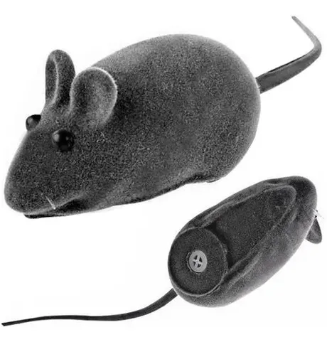 Ratinho de Vinil