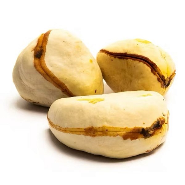 OBÍ NACIONAL BRANCO