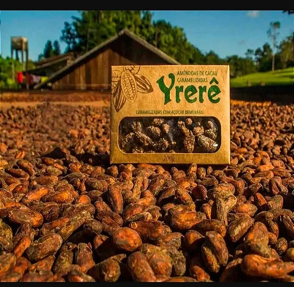 Passeio fazenda de Cacau Yrerê - Rota do Chocolate